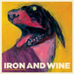 Visit Iron & Wine