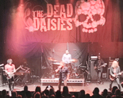 The Dead Daisies