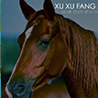 Xu Xu Fang