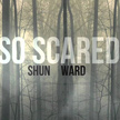Shun Ward