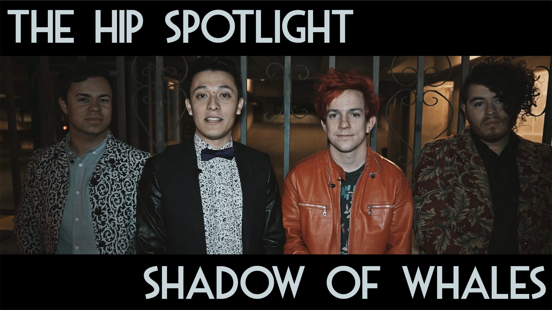 Shadow of Whales - HIP Spotlight