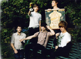 foals