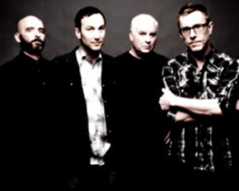 toadies