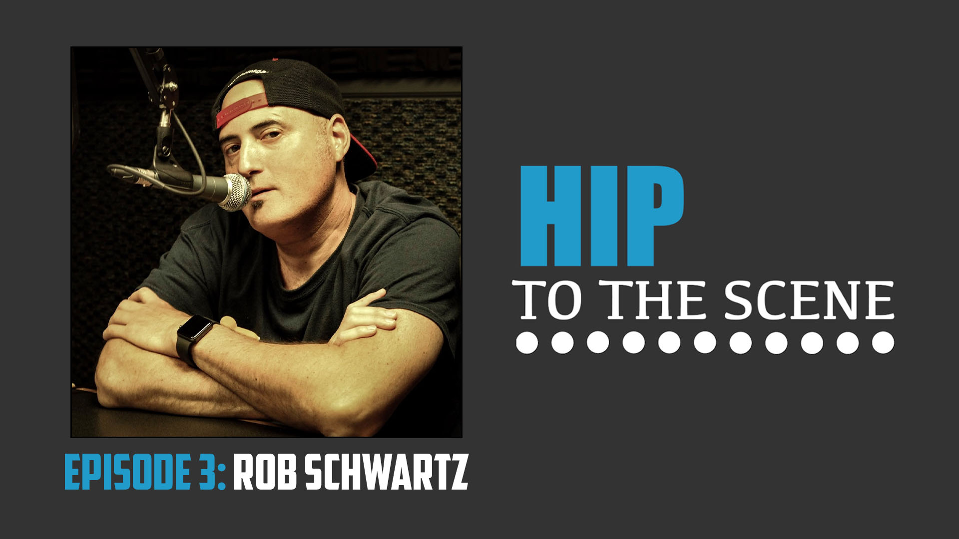 HIP To The Scene - Rob Schwartz